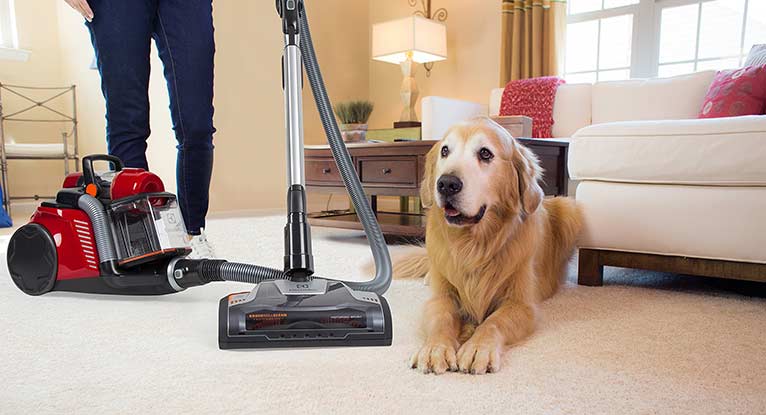 Top 10 Best Vacuum Cleaners For Picking, Best Vacuum For Pet Hair And Hardwood Floors 2017